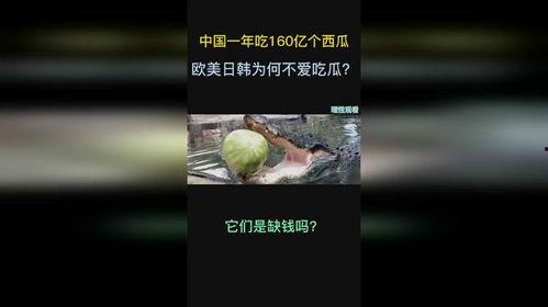 今日吃瓜在线视频日韩欧美,日韩欧美娱乐资讯大盘点