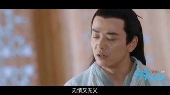 操姐姐视频,揭秘生活日常，展现真实魅力