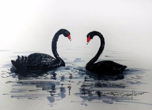 大鹅鹅网红黑历史西雅图吃瓜