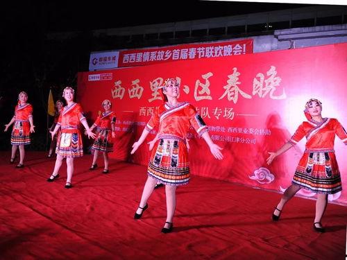 新龙船调视频,探寻传统音乐与现代韵律的完美融合