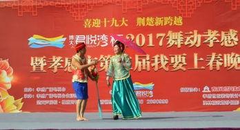 新龙船调视频,探寻传统音乐与现代韵律的完美融合