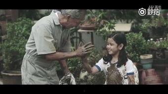 善良的妈妈视频,温情瞬间，传递爱的力量