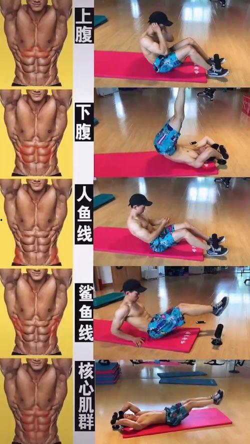 腹肌视频大全,打造完美腹肌的必备教程汇总
