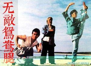 无敌鸳鸯腿完整版视频,一招制胜的武术绝学揭秘