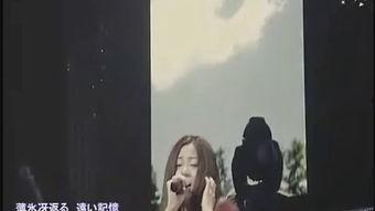 冰恋视频,一场跨越时空的浪漫邂逅