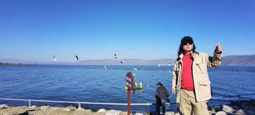 旅游 视频,视频带你领略异国风情与自然奇观