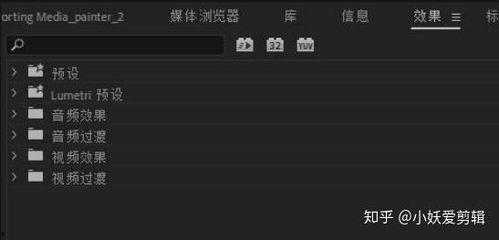 pr裁剪视频,打造精彩视频概述的秘诀