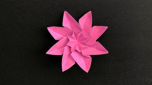 纸花视频,创意手工艺术品的魅力展现