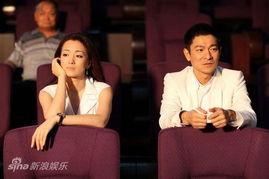 刘德华巩俐视频现场,现场视频引热议