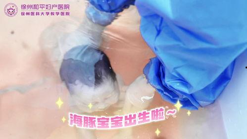 水中生宝宝视频,见证生命诞生的独特瞬间