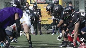 四库视频,中华文化的瑰宝与传承