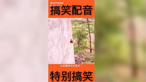 稿笑视频,轻松一刻，笑出腹肌的欢乐时光