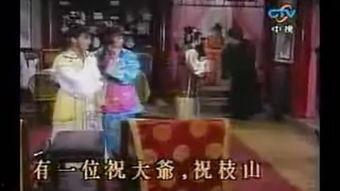 黄篇视频,内容、影响及应对策略