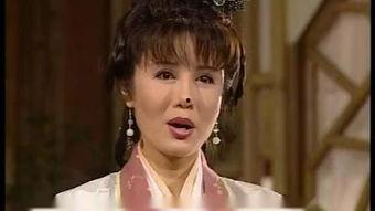 黄篇视频,内容、影响及应对策略