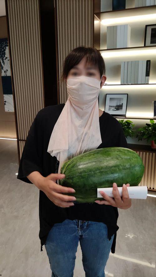 今日大瓜天天围观,今日大瓜，天天围观，热点追踪不停歇