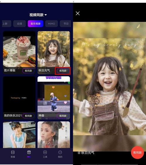 同视频,跟随视频揭秘神秘现象