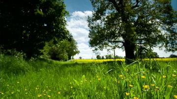 大自然美景视频,捕捉地球之美瞬间