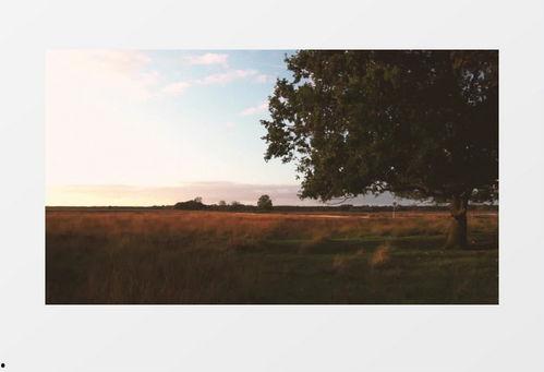 大自然美景视频,捕捉地球之美瞬间