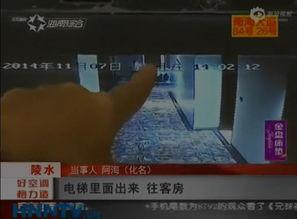 做爱片视频,一场禁忌之爱的视觉盛宴