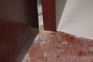 安装木门视频,跟随视频教程一步步操作