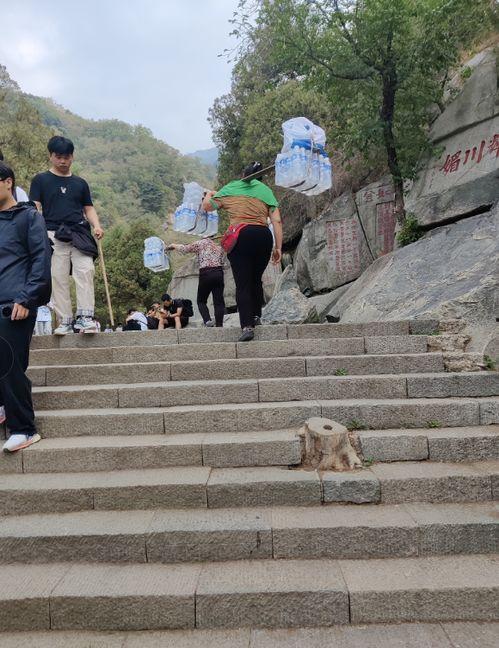 泰山挑山工视频,坚韧与智慧的壮丽画卷
