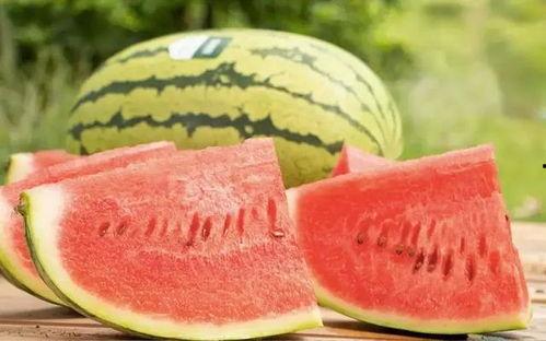 今日蕃瓜价格行情最新,价格波动解析与市场趋势洞察