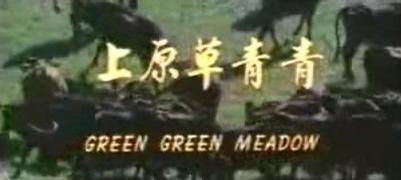 青青草原在线观看视频,青青草原在线视频精彩回顾