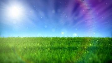 青青草原在线观看视频,青青草原在线视频精彩回顾