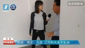 处男视频,一段真实视频背后的故事