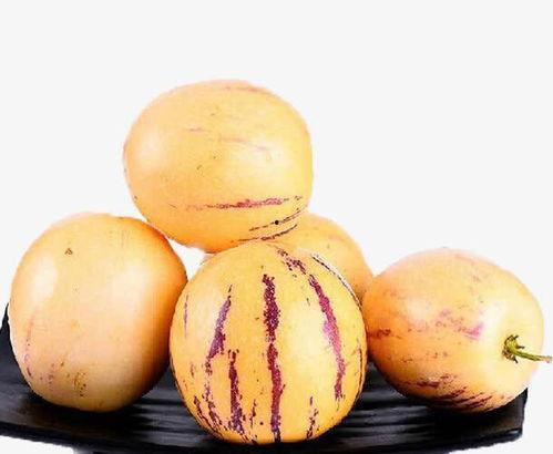 黑茄瓜怀孕可以吃吗,安全与营养两不误