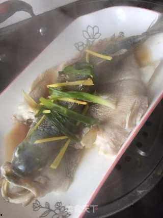 清炖鱼的做法大全视频,视频教程，轻松掌握家常美味