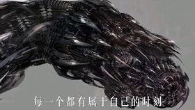 变形金刚花絮视频大全