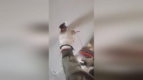 电工并线视频,视频教程深度解读