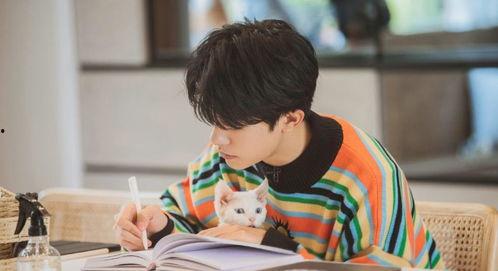 sikix视频,科技与创意的完美融合