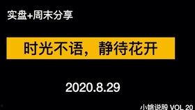 回顾视频,深度解析关键内容与亮点