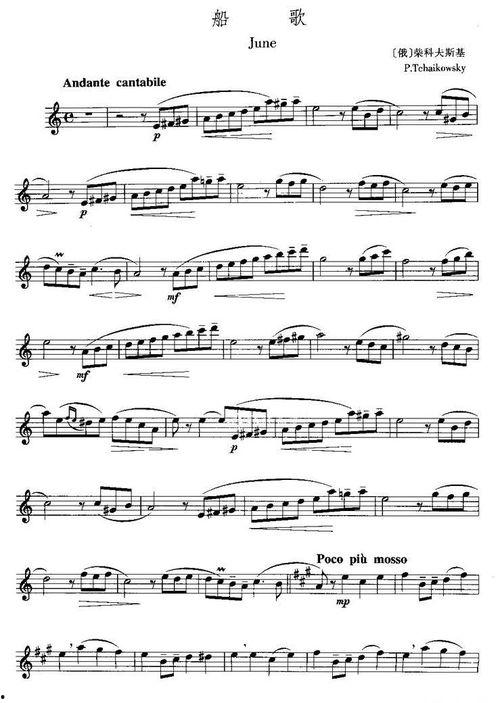 韩国良长笛教学视频,揭秘长笛演奏的奥秘与技巧