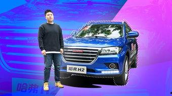 哈弗视频,探索汽车科技与生活的精彩瞬间