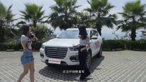 哈弗视频,探索汽车科技与生活的精彩瞬间