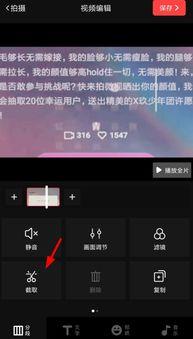 视频怎,一窥全貌