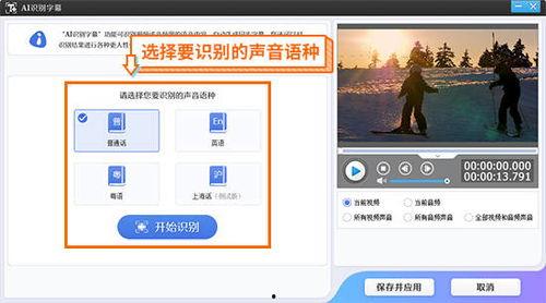 识别视频,一窥全貌