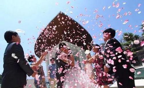 婚礼撒花瓣视频