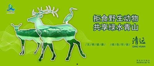 保护环境公益广告视频,共筑美好未来——公益广告视频概述