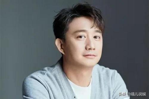 黄磊视频,探寻生活与艺术的完美融合