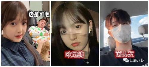 网红今日大瓜,揭秘娱乐圈最新热点事件