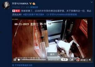 被家暴视频,揭开家庭阴影下的残酷真相