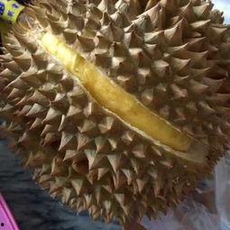 吃榴莲视频,一场视觉与味觉的双重盛宴