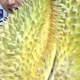 吃榴莲视频,一场视觉与味觉的双重盛宴