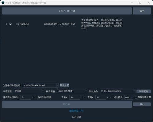 视频翻译字幕,探索跨文化交流的魅力