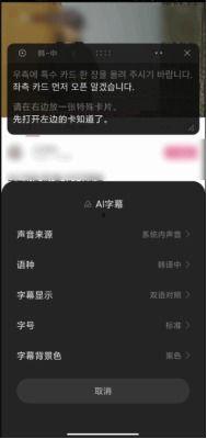 视频翻译字幕,探索跨文化交流的魅力