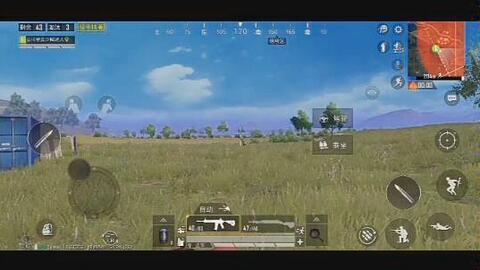 和平的视频,视频中的和谐画卷